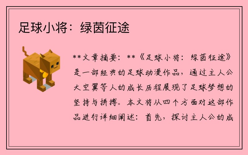 足球小将：绿茵征途
