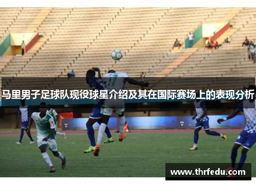 马里男子足球队现役球星介绍及其在国际赛场上的表现分析